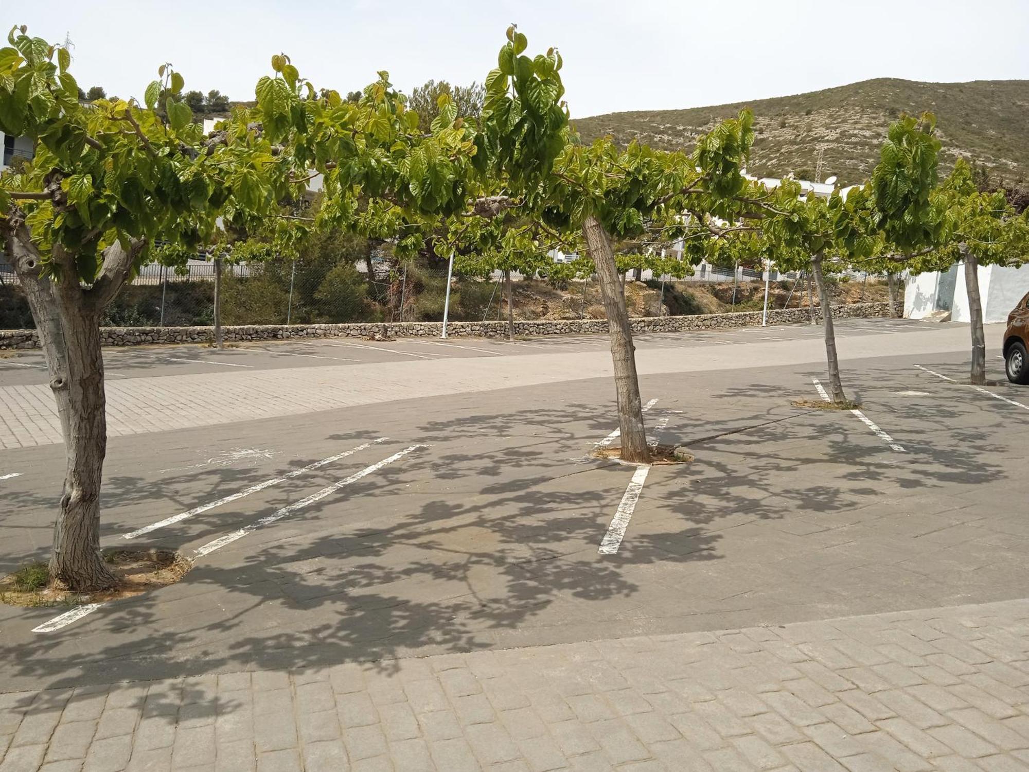 Apartamentos Tierra De Irta 3000 เพนิสโคลา ภายนอก รูปภาพ